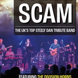 Steely Scam