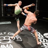 Dynasty Combat Sports: Seasons Beatings 2026