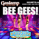 BEE GEES FEVER! - Tribute to the BEE GEES