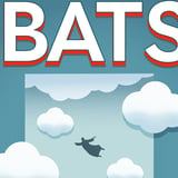 The Bats + Special Friend