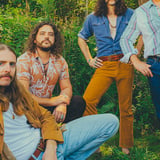 The Sheepdogs