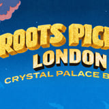 Roots Picnic