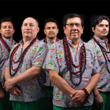 Los Mirlos