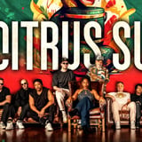 Citrus Sun