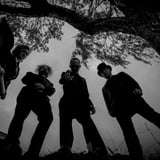 The Coffinshakers