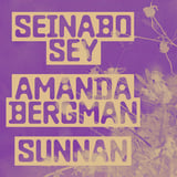 Seinabo Sey, Amanda Bergman, Sunnan + support