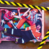 Dangerous Goods