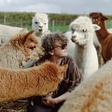 Bill Ryder-Jones and the Royal Liverpool Philharmonic Orchestra perform If… and other works