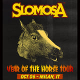 Slomosa