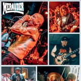 MERAUDER