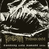 Fossilization + Phobocosm