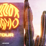 Guzior: WIDMO TOUR