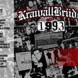 KrawallBrüder // "1993" Tour // Osnabrück Hyde Park 