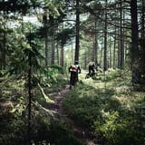 Trailtour of Gudbrandsdalen JULI 2026 | Påmeldingstur stisykling