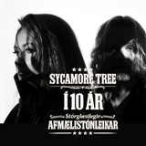 Sycamore Tree 10 ára afmælistónleikar