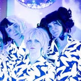 DHP presents Birdvox