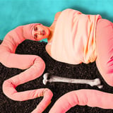 ANATOMICA - A Comedy About Meat, Bones, & The Skin You’re In