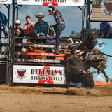Dittmann Bull Pit PBR