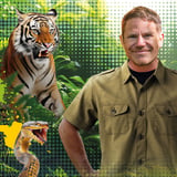 Steve Backshall - Deadly Live!