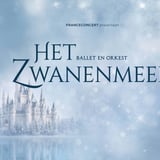 Het Zwanenmeer - ballet en orkest
