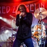 Fred Zeppelin