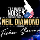 A Beautiful Noise