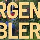 Bergen Bobler! 2026 @ Hallen, USF Verftet