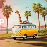 Day Trip Festival Long Beach