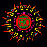 In A Nutshell: Tribute To Alice In Chains