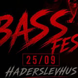 BASS fest