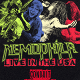 Nemophila in Orlando