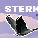 Þegar skóladagurinn verður barátta