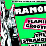 Hey Han Let's Gan - Ramones Celebration