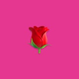 LANY