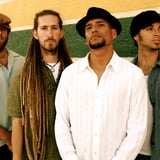 The Devastators, Raiz Muzik