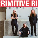 Primitive Ring | Hus 7