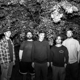 Fiddlehead with Narrow Head, Knumears & Destiny Bond