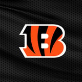 Preseason Game 1: Cincinnati Bengals v Detroit Lions