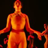 Nederlands Dans Theater - NDT 2