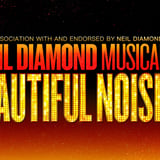 A Beautiful Noise