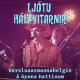 Ljótu Hálfvitarnir