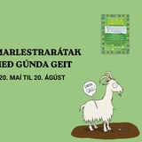 Sumarlestrarátak 2026 | Summer reading challenge