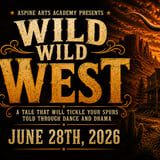 Wild Wild West