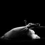 Ballet Hispánico New York