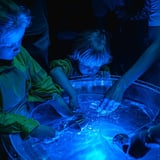 BREC, Ad Lib Collective & Circuitwest present a Playing WA tour of DROP DROP PLAY