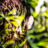 Max Cooper Live A/V - Feeling Is Structure album Tour