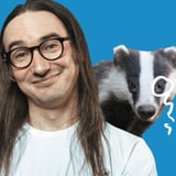 Matt Hobs: 100% Badgers