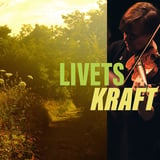 Det Norske Kammerorkester //  Kammerkonsert - Livets Kraft