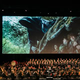 The Lord of the Rings: The Fellowship of the Ring in Concert - #1