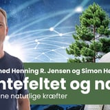 Kvantefeltet og Naturen